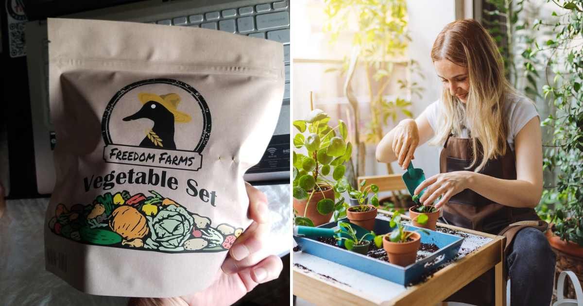 (L) Customer holds a seed packet from Black Duck Brand's seeds mix (Cover Image Source: Amazon) | (R) Woman planting seeds in plant trays (Representative Cover Image Source: Getty Images | Oza Cankaya)