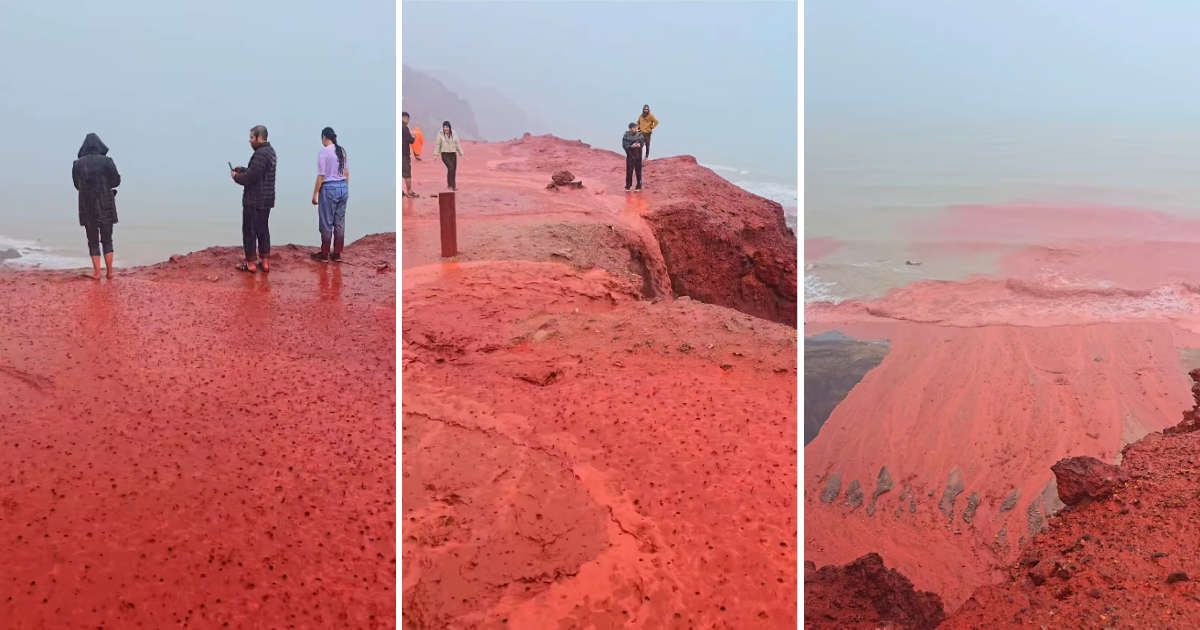 Tour guide records the footage of Iran's Rainbow Island getting painted red after rain. (Cover Image Source: Instagram | @hormoz_omid)