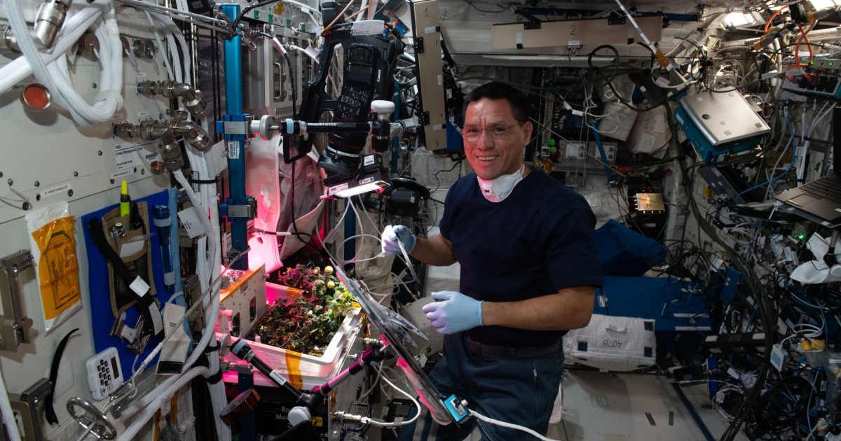 NASA astronaut Frank Rubio harvesting a tomato garden in space station. (Cover Image Source: Facebook | @ISS)
