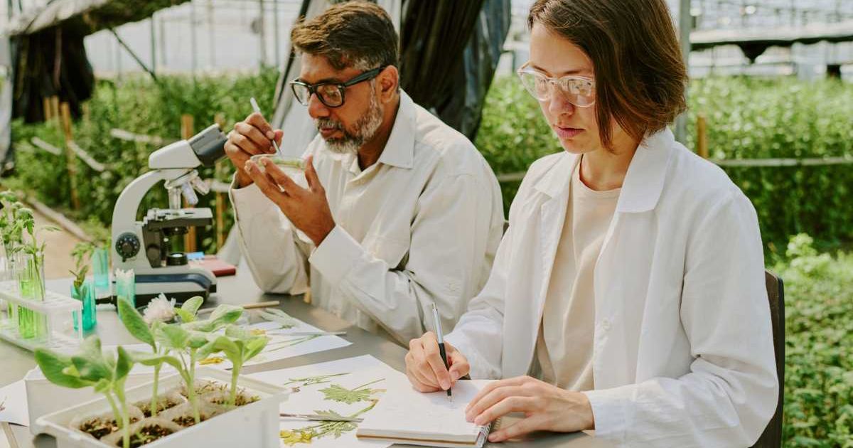 Two scientists working in a lab examining plant specimens surrounded by lush greenery in a greenhouse laboratory. (Representative Cover Image Source: Getty Images | AnnaStills)