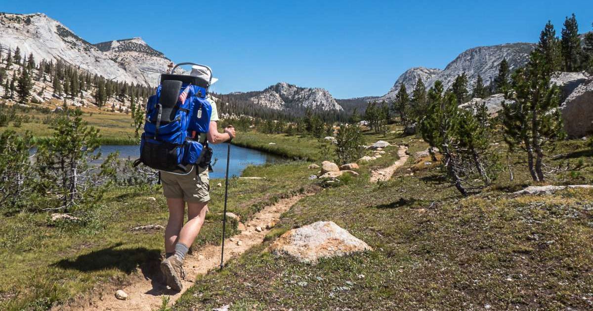 A person in Yosemite National Park. (Representative Cover Image Source: Getty Images | Alice Cahill)