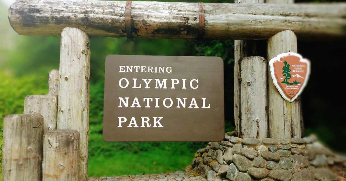 Signboard reading Olympic National Park dangling from wooden logs (Representative Cover Image Source: Getty Images | Cheyenne James)