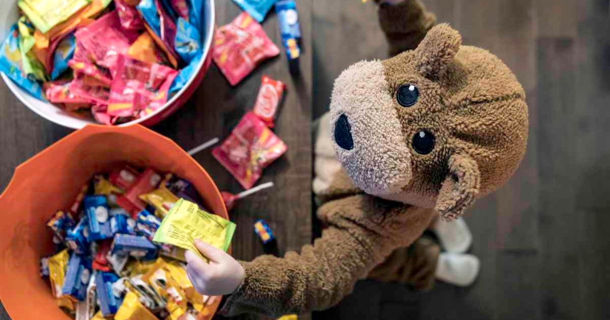 Halloween-themed photo of a child dressed up as a teddy bear standing in front of a basket of candy bars (Representative Cover Image Source: Getty Images | Onfokus)