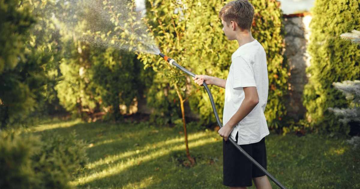 A young man is watering the lawn with a long hose. (Representative Cover Image Source: Freepik | Prostooleh)