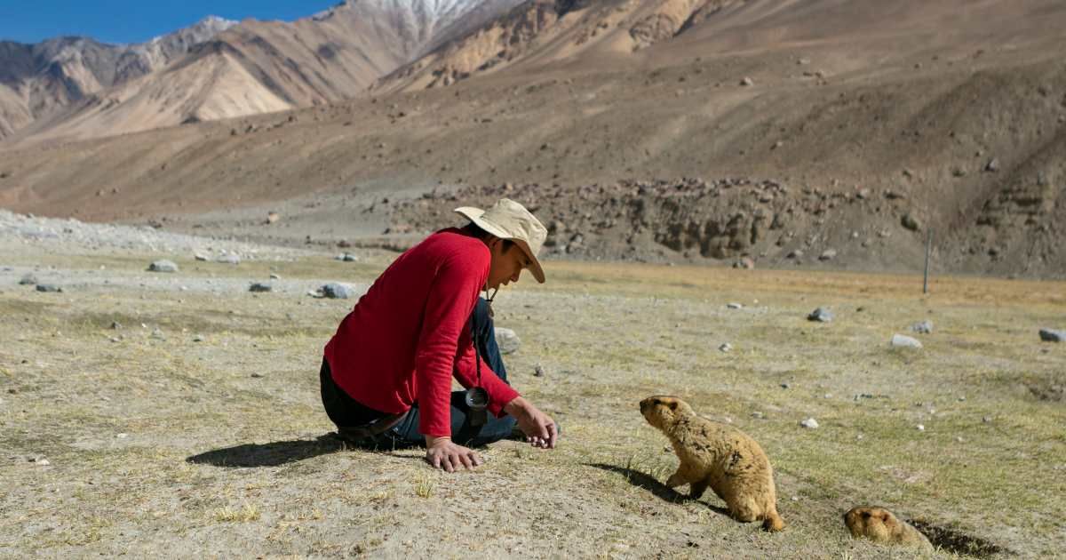 A man is interacting with a beaver at the hill. (Representative Cover Image Source: Getty Images | rudi_suardi)