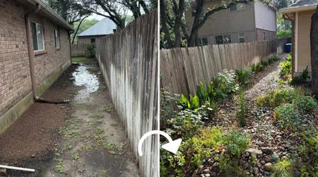 Homeowner Creates a ‘Rain Garden’ by Simply Redirecting the Flow — Now They’re Saving Lots of Water
