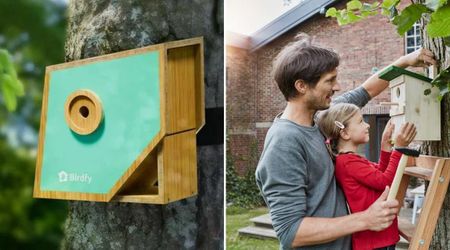 Walmart’s Solar-Powered Birdhouse Made of Eco-Friendly Material Is Ideal for Attracting Wild Birds