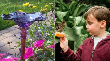 Attract Butterflies to Your Garden With This Vibrant Glass Feeder — It Comes With a Nectar Recipe Too