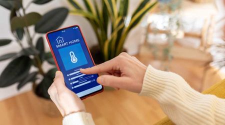 Your Home’s Temperature Settings Play a Crucial Role in Your Indoor Plants’ Survival — Experts Say