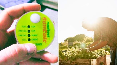 Amazon Has a $20 Sunlight Calculator That Checks If Your Veggie Garden Is Getting Enough Sun