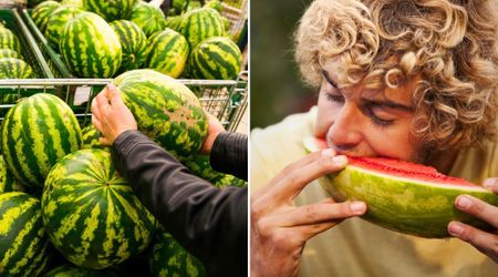 Are You Picking Watermelons Based on the ‘Webbing Trick?’ Expert Reveals if It Actually Works