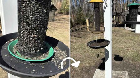 Birder’s $4 Solution Not Only Prevented Seed Debris but Also Squirrel Problems Around The Feeder