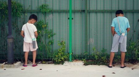 Urine Could Perfectly Fertilize Your Garden for Free When Used the Correct Way — Study Finds