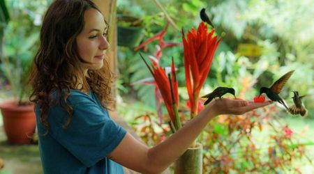 Can Hummingbirds Survive Only on Sugar Water in the Feeder? Experts Address Some Key Doubts