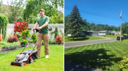 Gardener Says the Secret to Their Stunning Lawn Is a Costco Product and a Specific Mower Setting