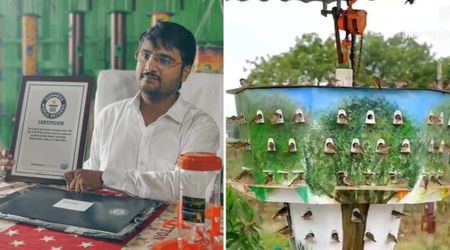 Man Creates the World’s Largest Bird Feeder That Can Accommodate 108 Birds and 1500 Lbs of Grains