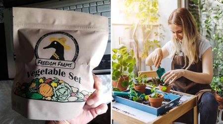 Starting a Veggie Garden? Amazon Has an Assorted Mix of Over 10,000 Seeds That Can Germinate Quickly