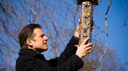 Wildlife Expert Reveals Little-Known Warning Signs That Tell if Your Bird Feeder Poses Disease Risks
