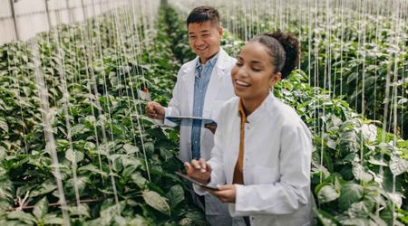 Study Finds the Best Crops to Grow During a Catastrophe — and These Two Vegetables Top the List
