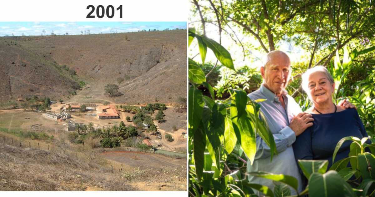 (L) A town in Minas Gerais, a state in Brazil, in 2001. (R) The couple restored their hometown forest with millions of trees. (Cover Image Source: (L) Facebook | Instituto Terra, (R) Instagram | @sebastiaosalgadooficial)