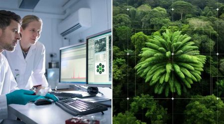Researchers Use AI to Find a Partner for the World’s Loneliest Plant and Save It From Extinction