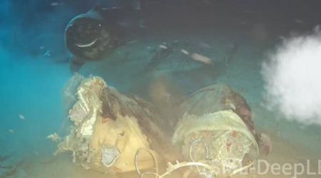 Researchers Spot Unexpected ‘Smiling’ Visitors When They Dropped a Cow 1,629 Meters Into the Sea