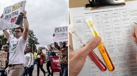 Gen-Z Man Who Leads an Eco-Friendly Lifestyle Tested His Blood for Plastics — then The Results Came