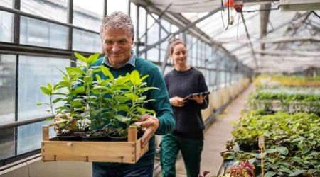 This Nursery Opens Once a Year to Sell Native Plants for Less Than $1 — and Helps Preserve Ecosystem