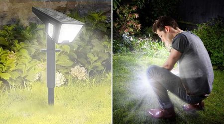 Walmart Shoppers Say These Automatic Solar Yard Lights ‘Last Into the Morning’ — and It’s 25% Off