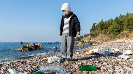 How Contaminated Is the Beach You’re Visiting? Scientists Just Invented a Simple Tool to Detect This
