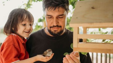 Wildlife Expert Shares 4 Sure Shot Ways to Get ‘Maximum Visits’ From Bird Guests to Your Feeder