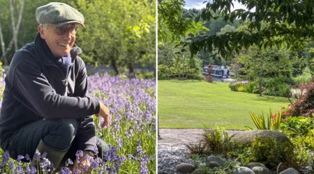 Man Spent 27 Years Turning His Bungalow’s Empty Yard Into an Oasis — now It Thrives in All 4 Seasons