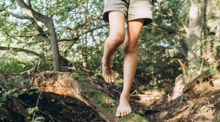 Humans Evolved Two Legs Not to Walk or Run — Turns Out, They Just Wanted to Pluck Fruits