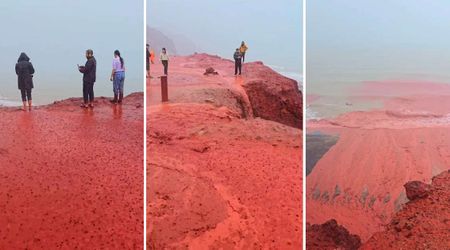 Surreal Footage Shows ‘Blood Rain’ Pouring Over Iran’s Rainbow Island and Mixing With Sea Water