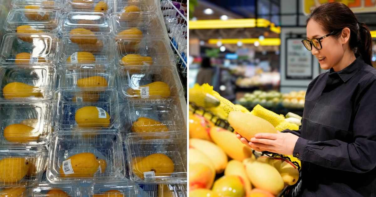 (L) Shopper buying mangoes notices produce stickers on them. (Cover Image Source: Reddit | u/Ac_50) | (R) Woman buying mangoes in a supermarket. (Representative Cover Image Source: Getty Images | 4045)