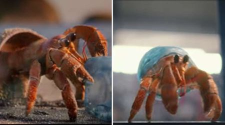 Zuzu, the Animated Hermit Crab, Inspires People to Reduce Plastic Usage With His Intriguing Journey