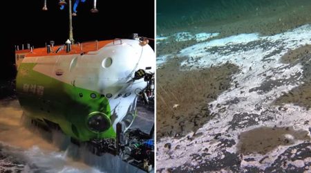 Scientists Went 31,000 Feet Below Pacific Ocean And Noticed a Hidden World Never Seen Before