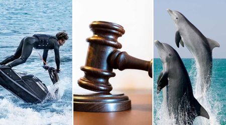Man on Jet Ski Caught Harassing Pod of Dolphins — Now He’s Paying The Price For It