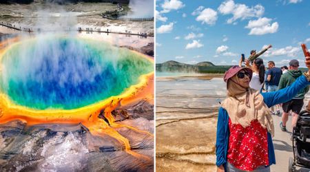 Yellowstone’s Thermal Ecosystems Is Facing an Unusual Threat — Hats and Pizza Boxes