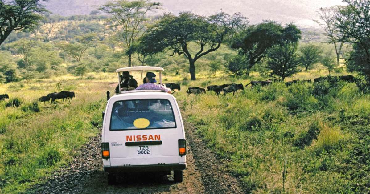 A safari van waits for a large herd of wildebeest to pass by. (Representative Cover Image Source: Getty Images | Buddy Mays)