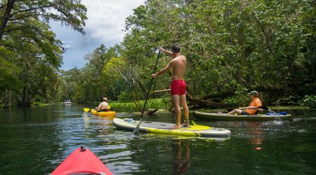 Why Florida Residents Are Protesting Against the Development of a New National Park