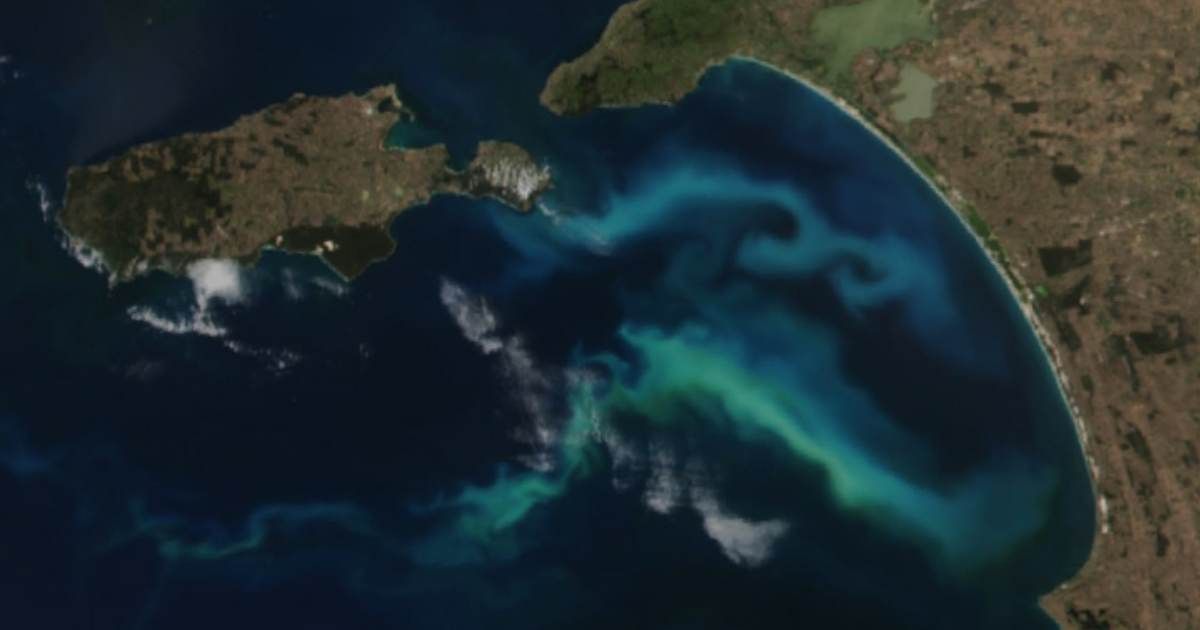 Cover Image Source: NASA Earth Observatory | Image by Wanmei Liang