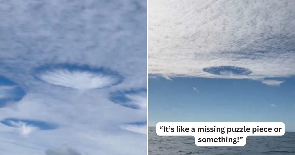 Traveler catches a rare sighting of mysterious holes punched in the sky above the Gulf of Mexico (Cover Image Source: X | @BlacktipH)