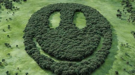 Why a Massive 'Smiley' Face Appears on an Oregon Hill Every Fall