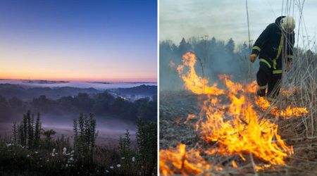 NPS Officials To Set Fire in Certain Parts of Ohio National Park — and They Have a Good Reason for It