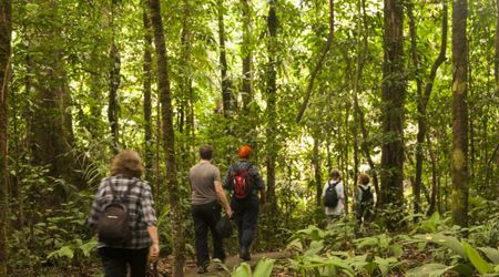 Henry Ford Once Tried To Build an Utopian City in the Amazon Rainforest — It Went As Expected