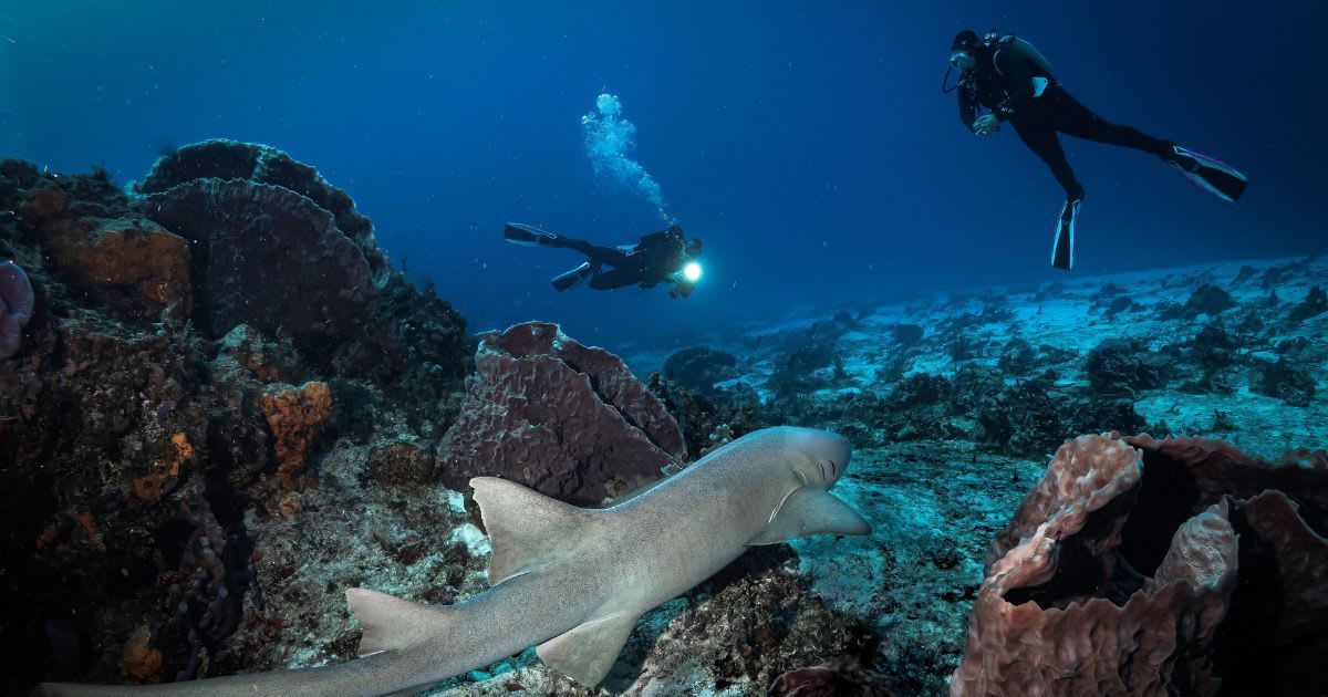 Representative Cover Image Source: Getty Images | Jim Mallouk