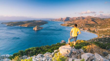 A New Island Rose up From the Sea — Now, Scientists Find Nature Colonizing It Without Human Interruption