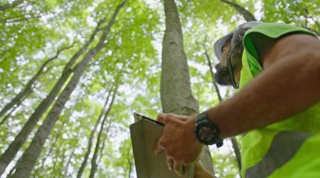 Scientists Used Drones to Count Trees in China — You Won’t Believe How Many There Are in Total