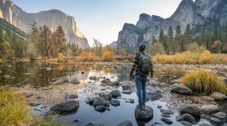 From Camping to BASE Jumping: Visitors’ Activities Create Long-Term Harm to Yosemite’s Resources